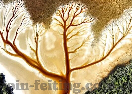 澳门威尼斯人手机登录-澳门威尼斯人手机登录，便捷体验与娱乐新选择